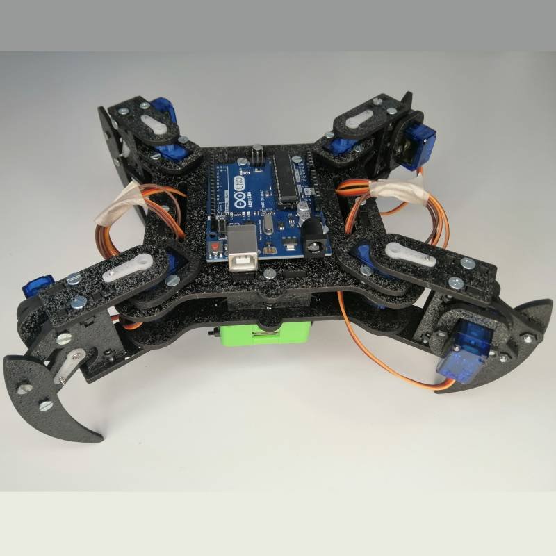 Spider robot (Quadruped)
